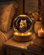 Personalized Cat Portrait Crystal Ball Night Light