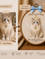 Personalized Embroidery Memorial Cat Portrait in Hoop