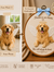 Personalized Embroidery Memorial Pet Portrait in Hoop